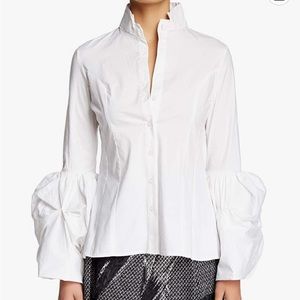 TOV romantic bishop lantern sleeve stretch gothic steampunk blouse